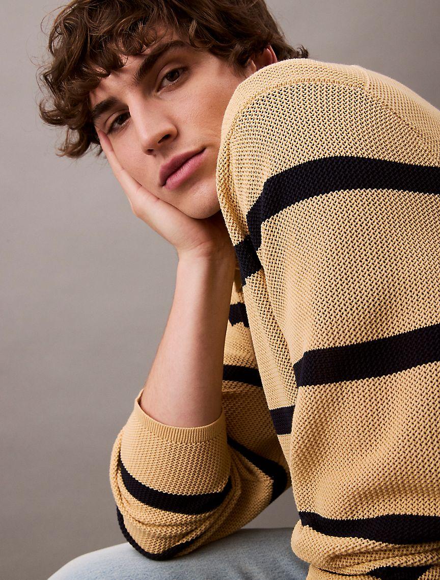 Striped Polo Sweater Product Image