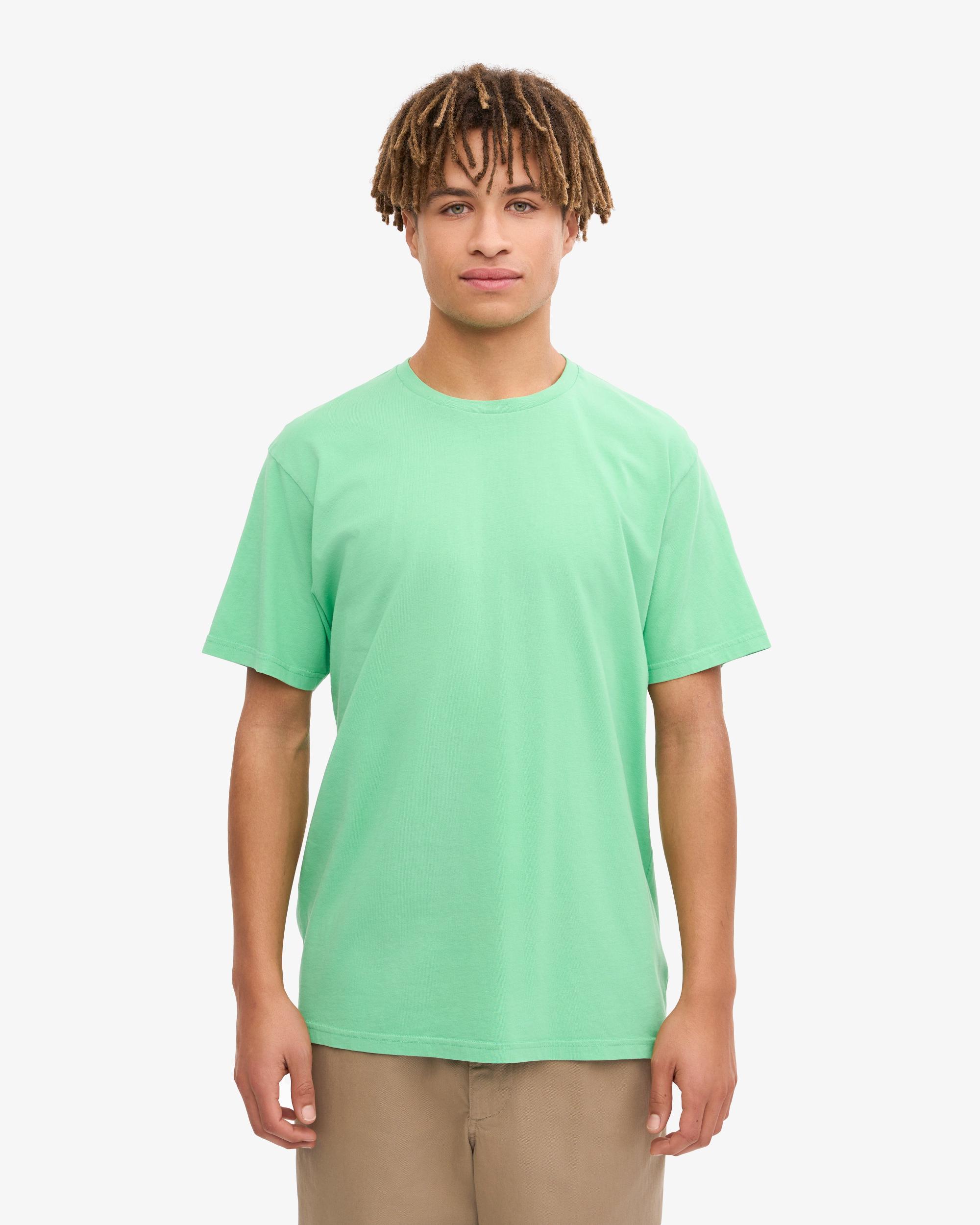 Classic Organic Tee - Spring Green Product Image
