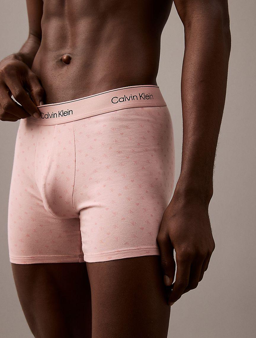 Icon Cotton Stretch V-Day Boxer Brief Product Image