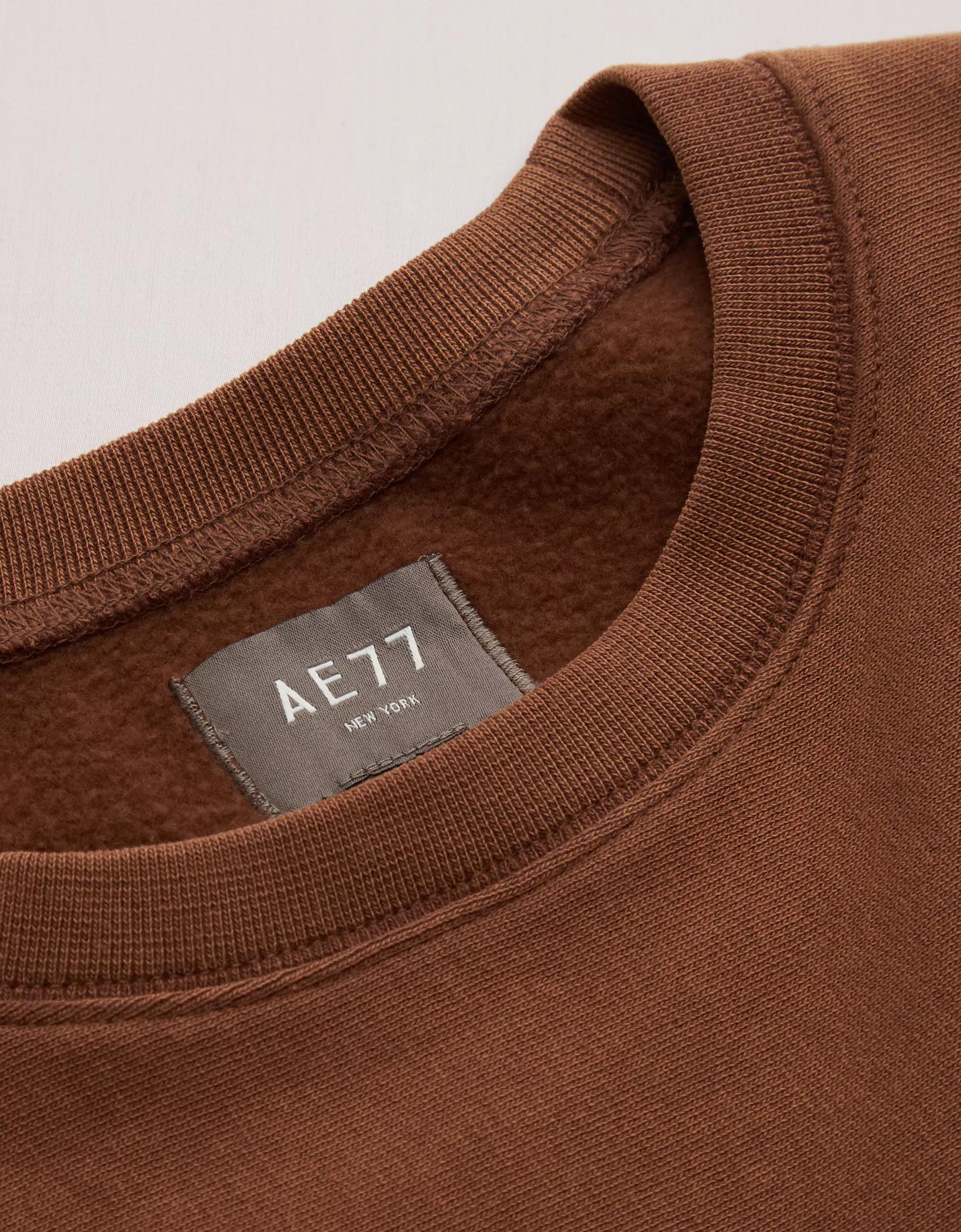 AE77 Premium Fleece Crew Neck Sweatshirt Product Image