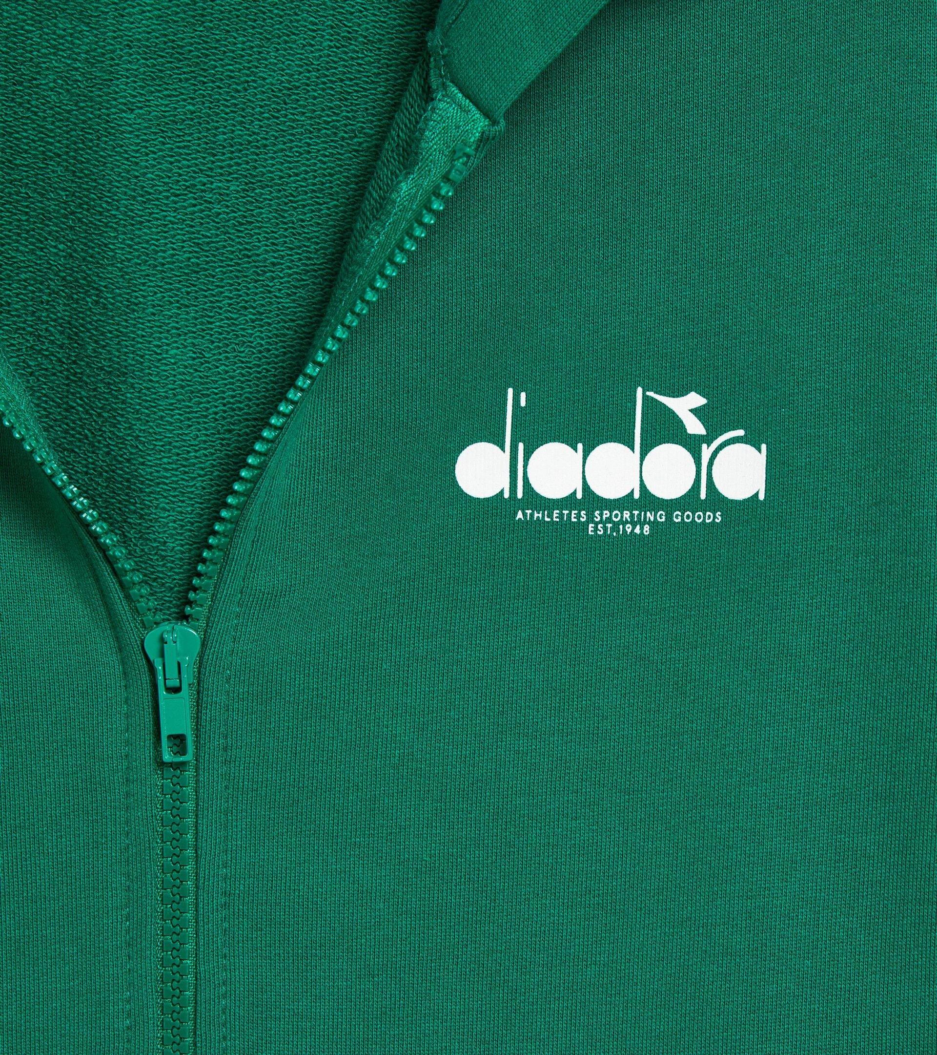 HOODIE FZ LOGO Product Image