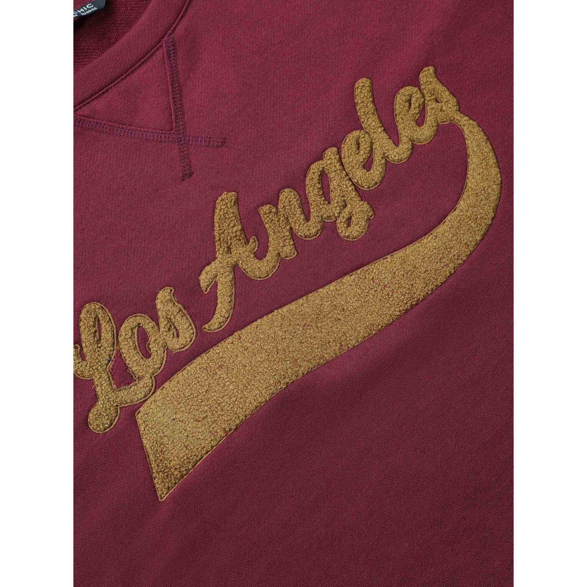 Plus Size Letter Graphic Towel Embroidered Sweatshirt Women RedViolet Casual Contrast Dailywear Sweatshirts BloomChic 22-24/3X Product Image