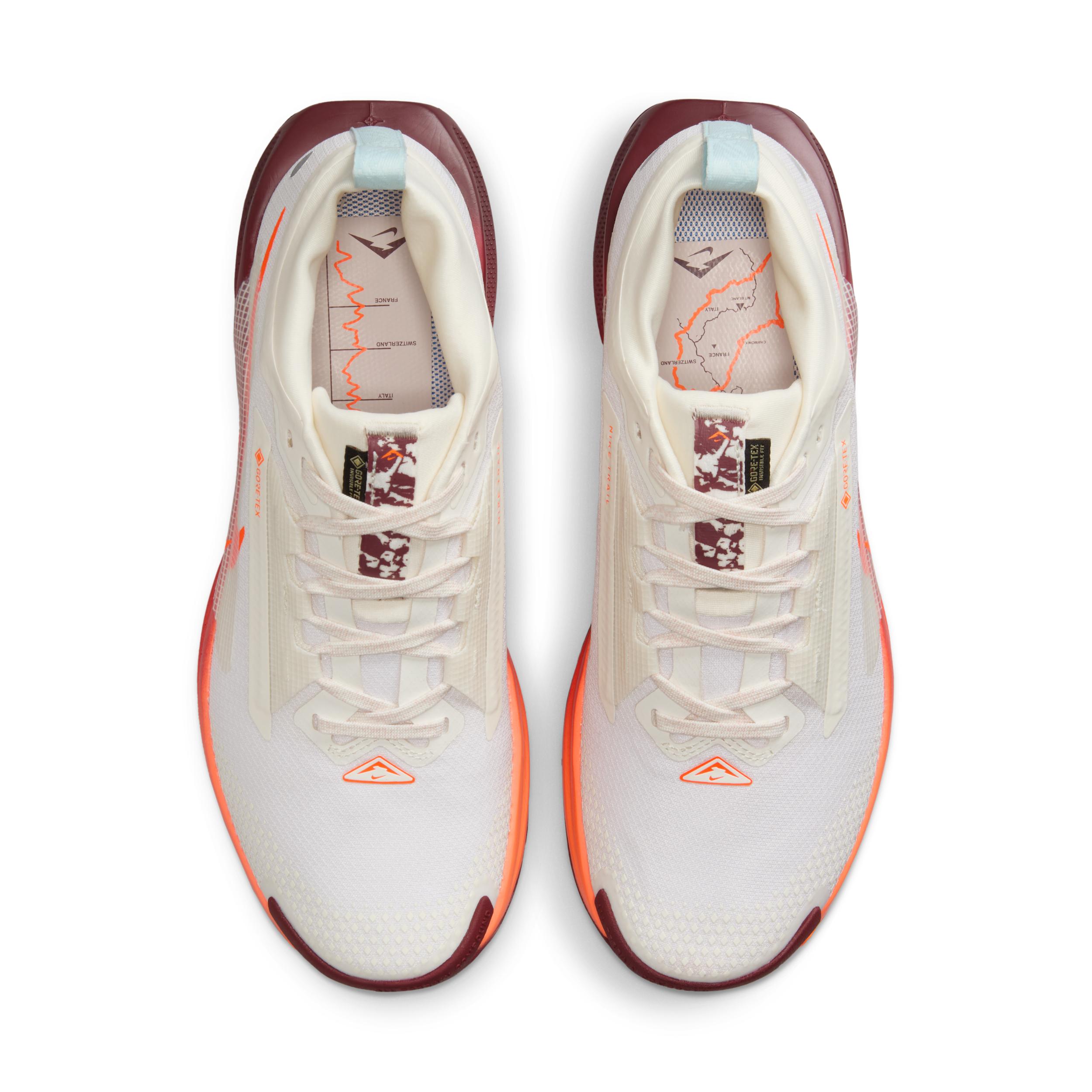 Nike Womens Pegasus Trail 5 GORE-TEX Waterproof Trail Running Shoes | FQ0912-104 Product Image