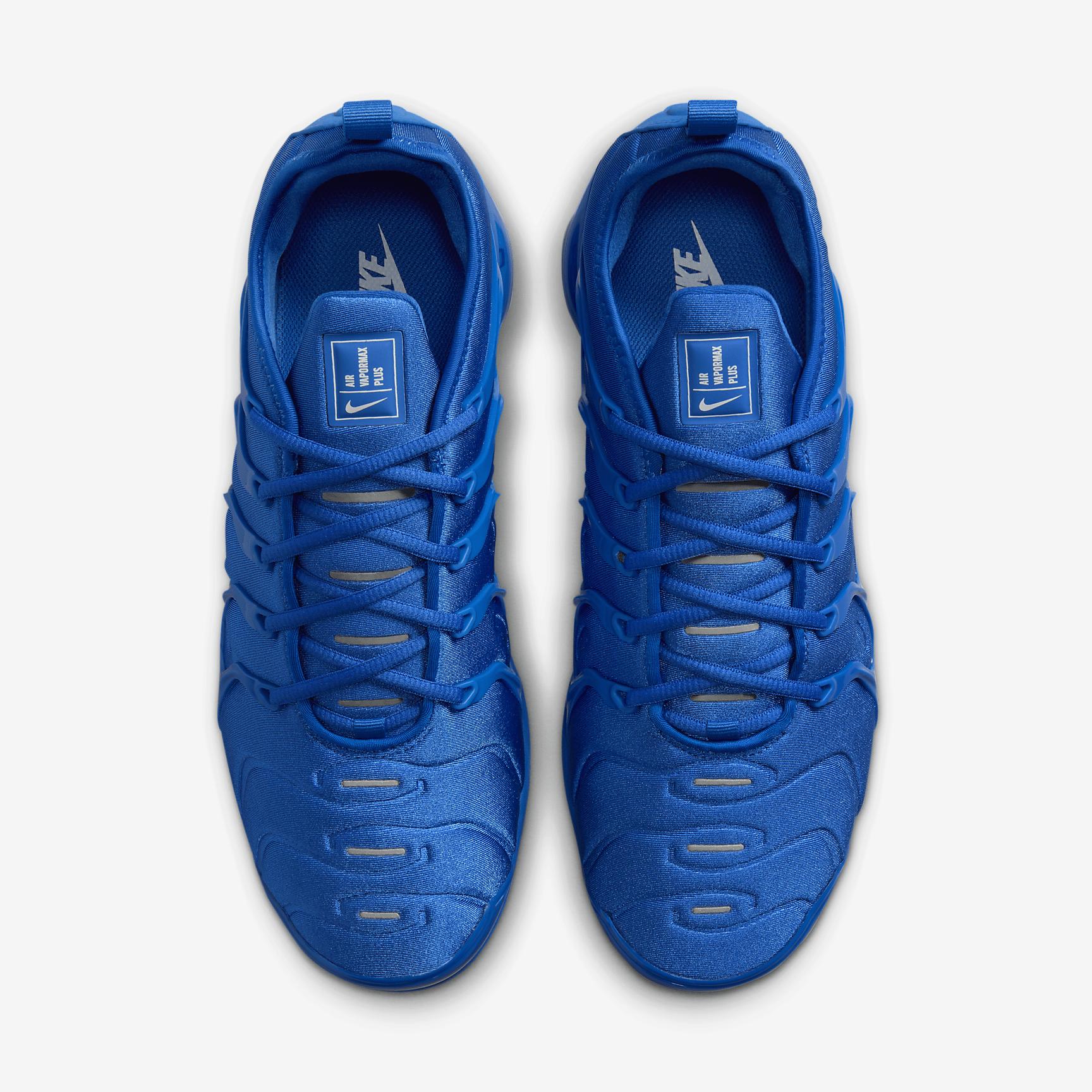 Nike Mens Air VaporMax Plus Shoes | HJ9148-480 Product Image