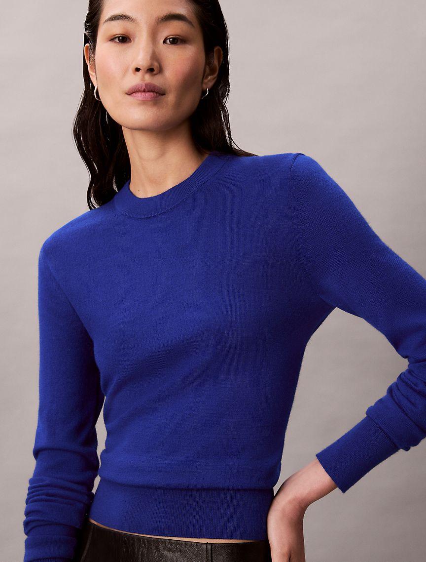 Extra Fine Merino Blend Crewneck Sweater Product Image