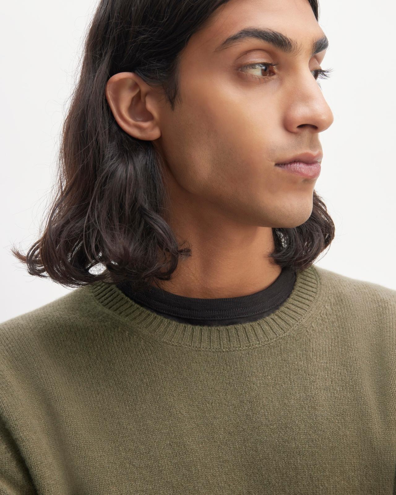 Mens Premium Merino Crew Neck Sweater by Everlane Product Image