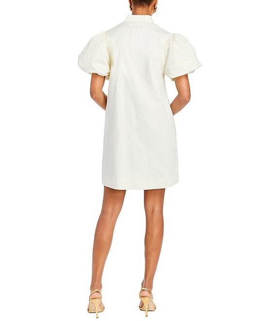 Mestiza New York Elliana Poplin Palm Tree Embroidery Mandarian Collar Short Puff Sleeve Dress Product Image