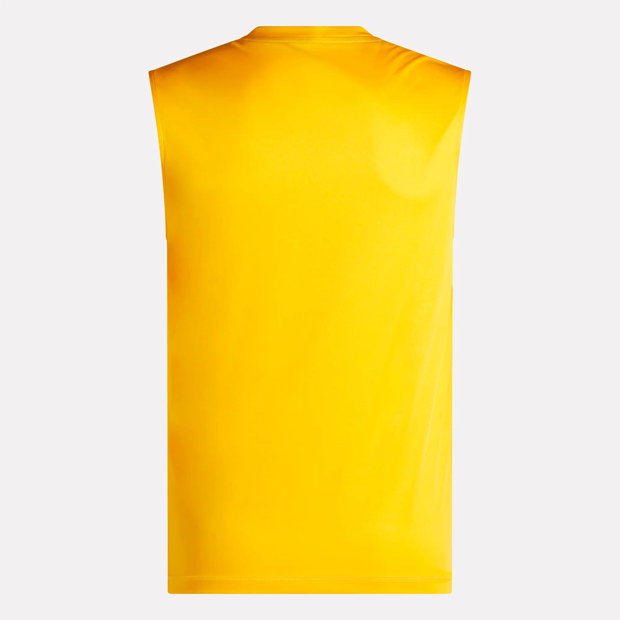 Men's Training Sleeveless Tech T-Shirt Male Product Image