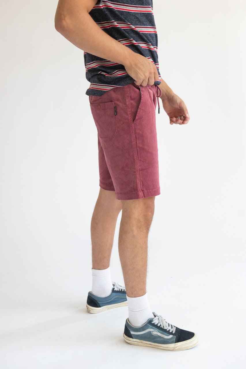 Velvet Corduroy Shorts Product Image