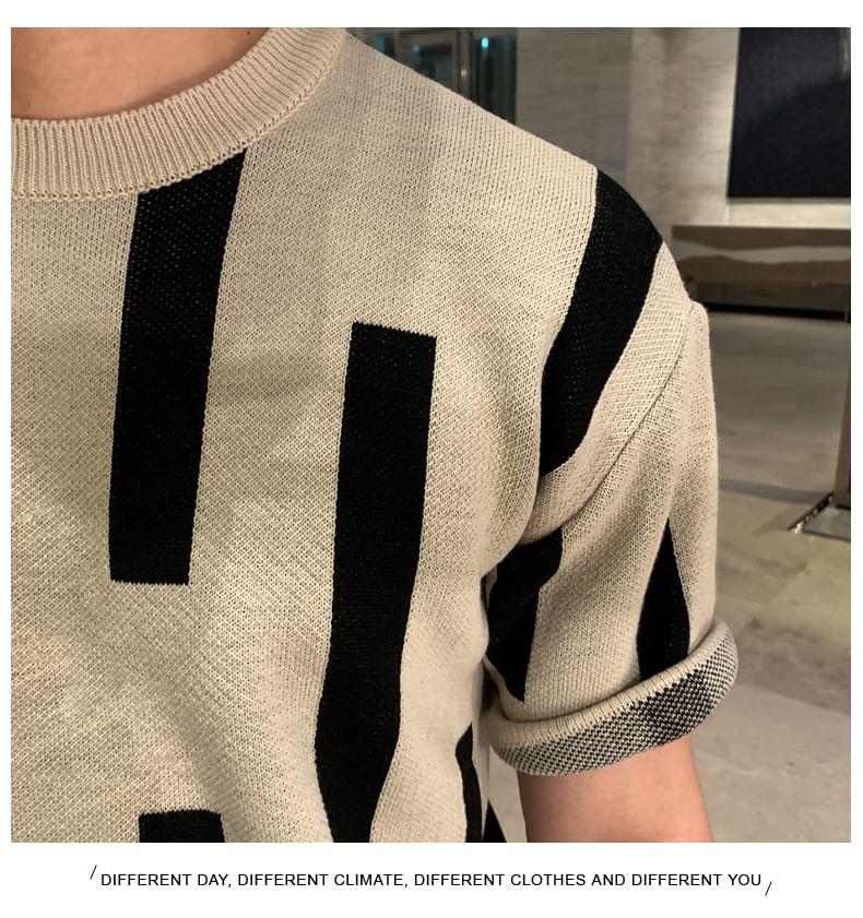 Short-Sleeve Crewneck Two Tone Knit Top Product Image