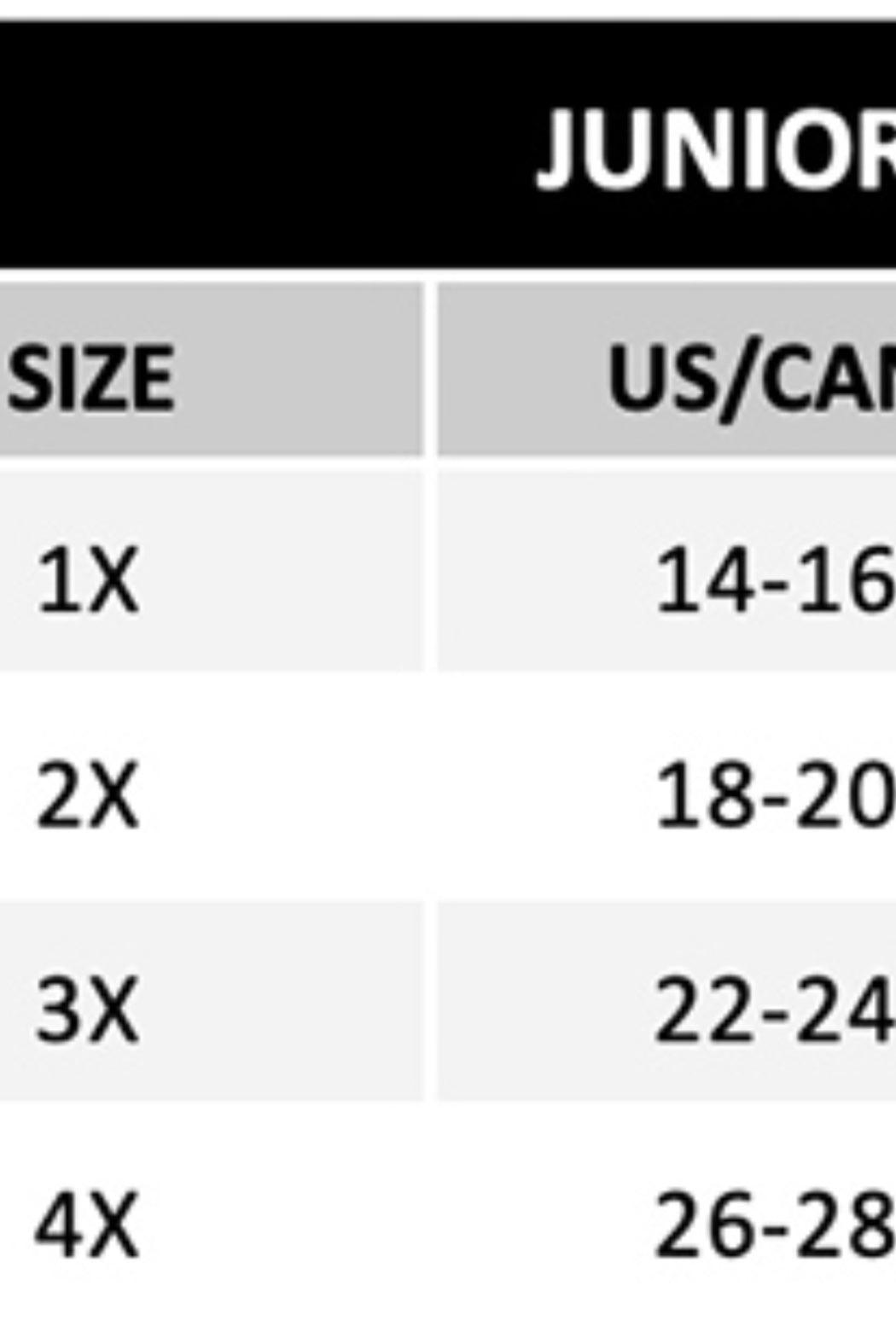 Plus Size Legging Slim Pants Product Image