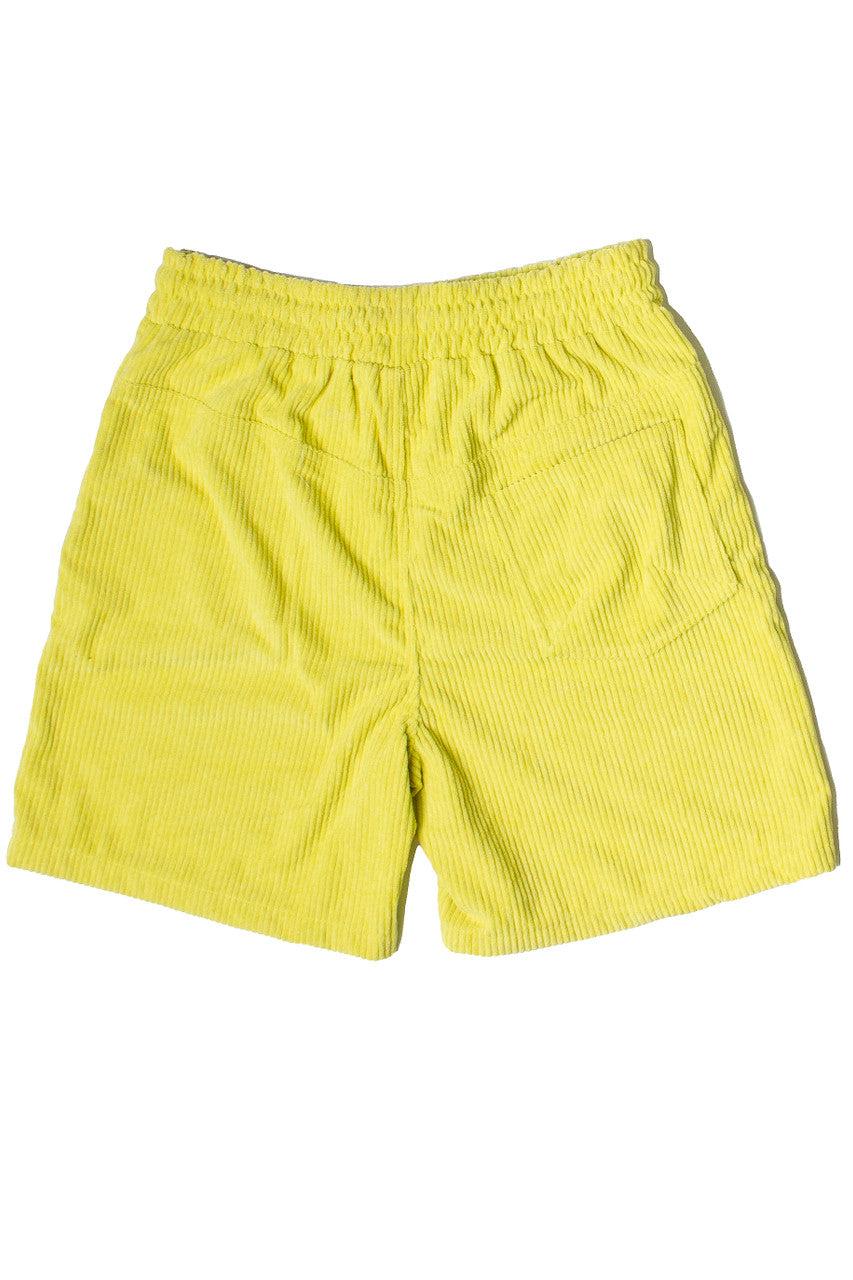 Plush Corduroy Shorts Product Image