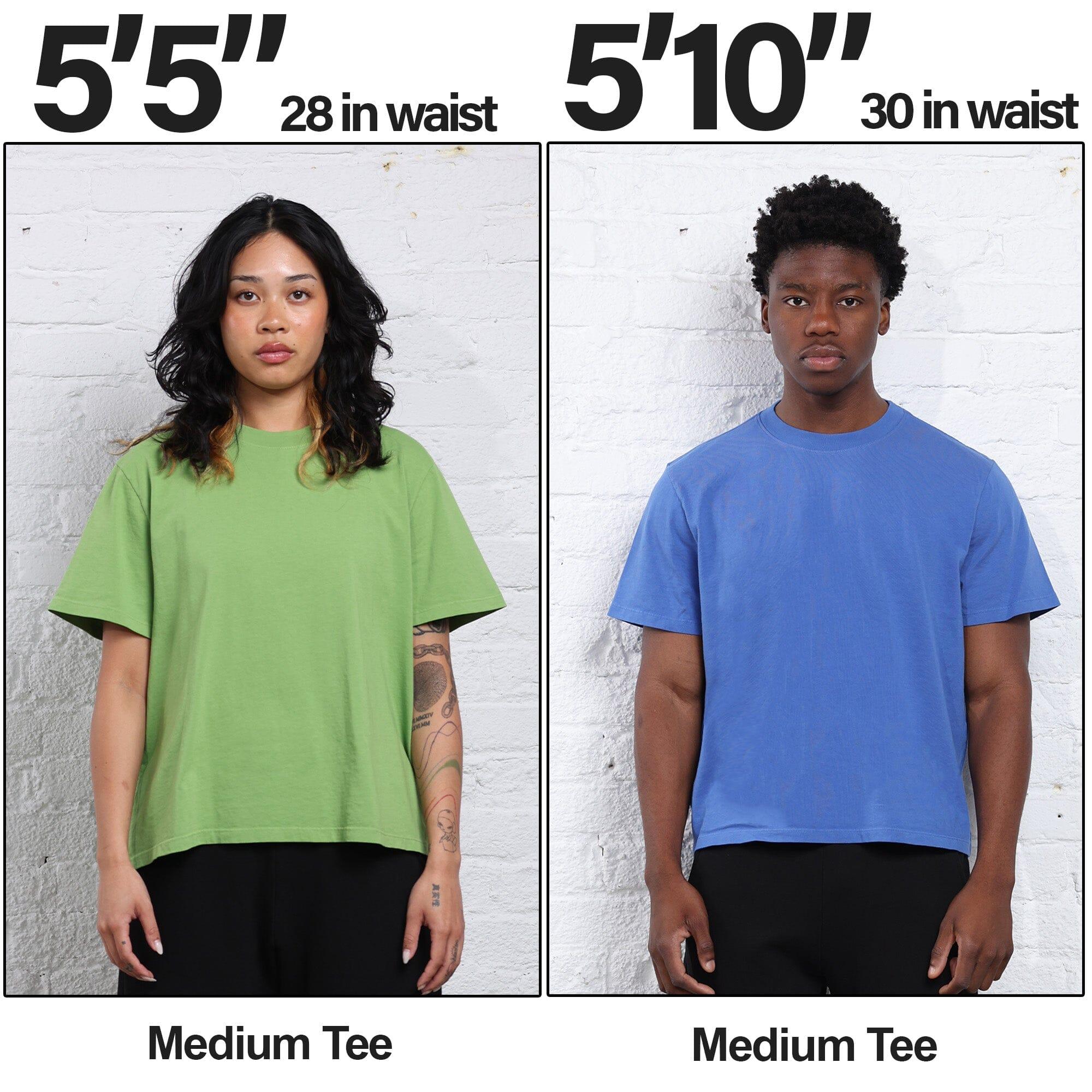 Silverlake Crop Tee II Product Image