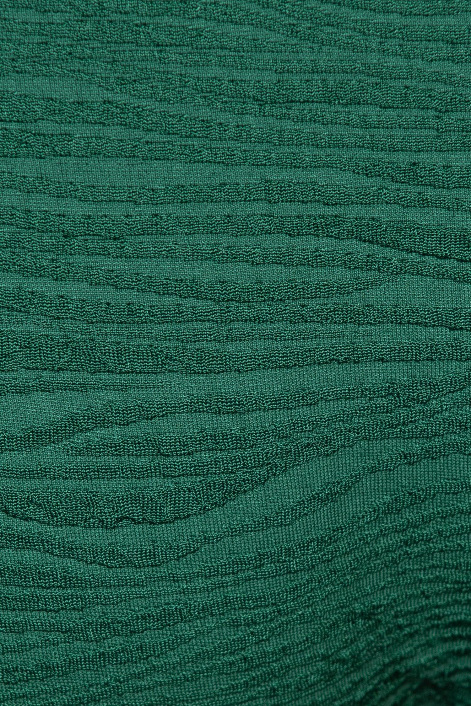 Jacquard Zebra Banded Mid Rise Hipster Bikini Bottoms Product Image