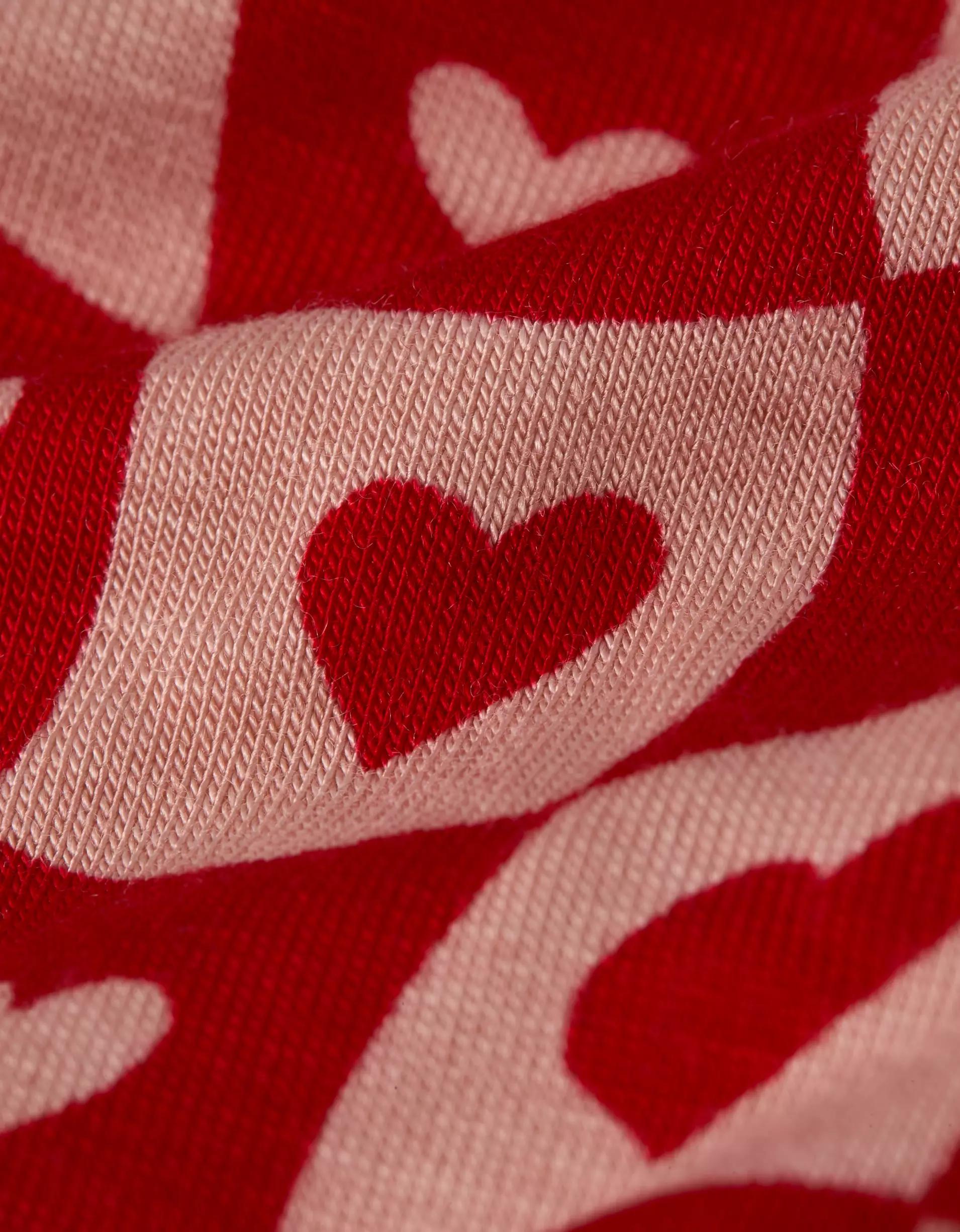 AEO Men's Valentine's Day Hearts 6" Ultra Soft Boxer Brief Product Image