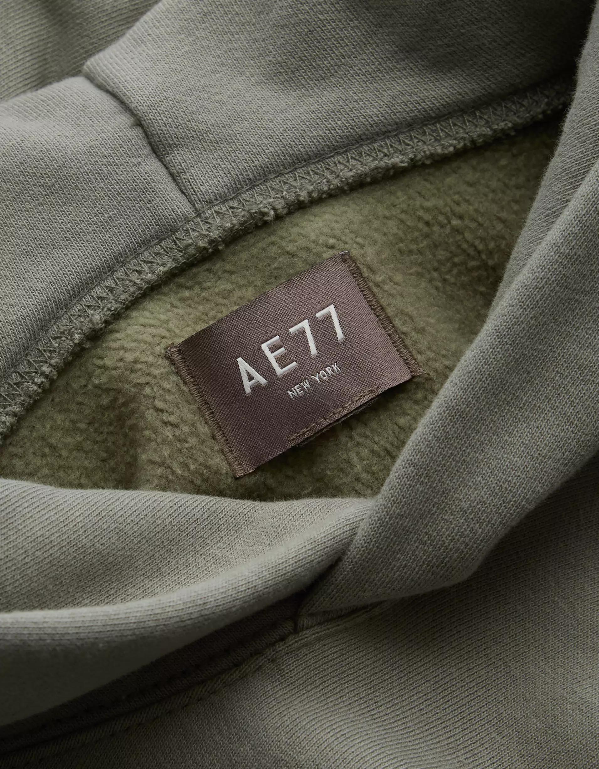 AE77 Premium Fleece Hoodie Product Image