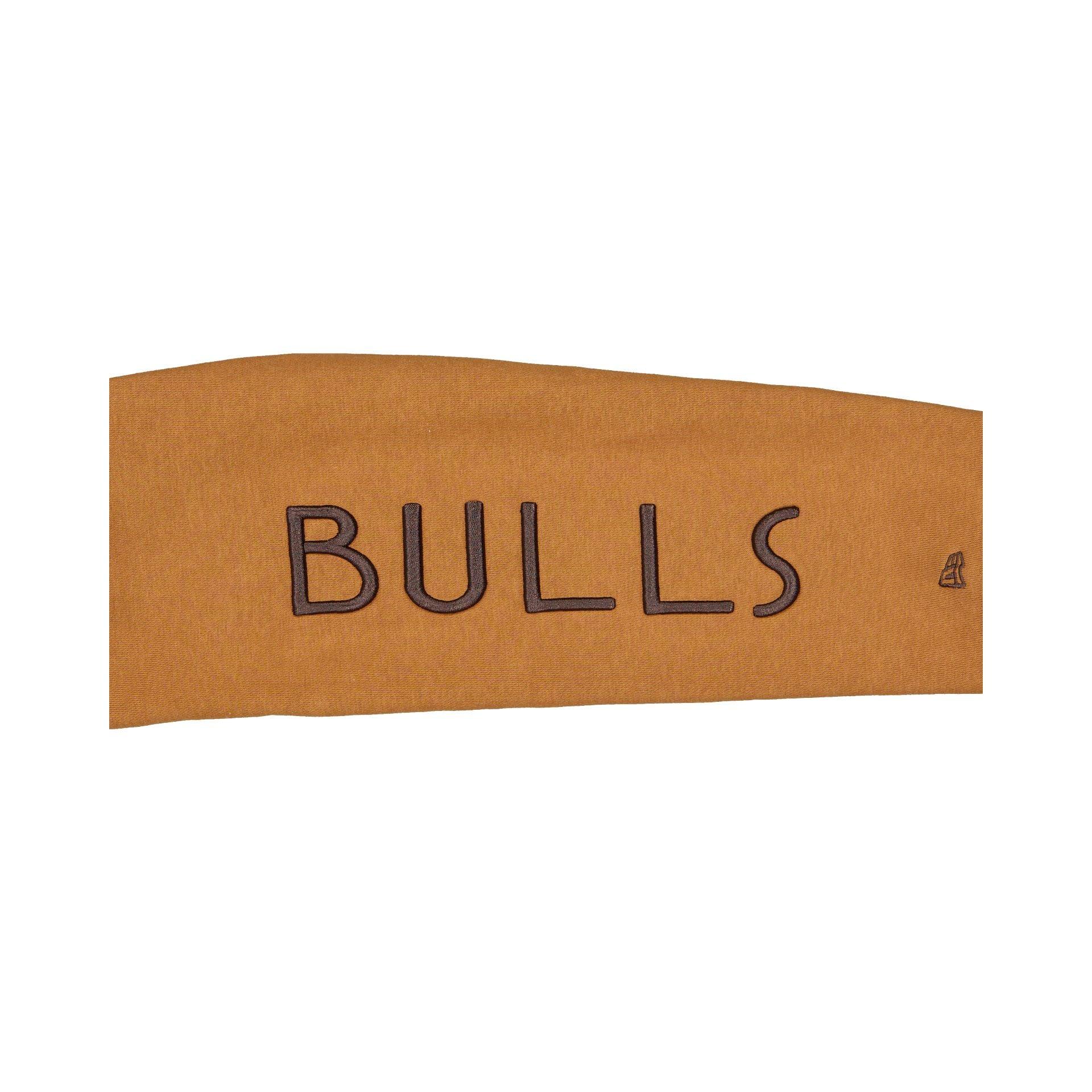 Chicago Bulls 2025 All-Star Game Victory Grove Women's Light Bronze Hoodie Female Product Image