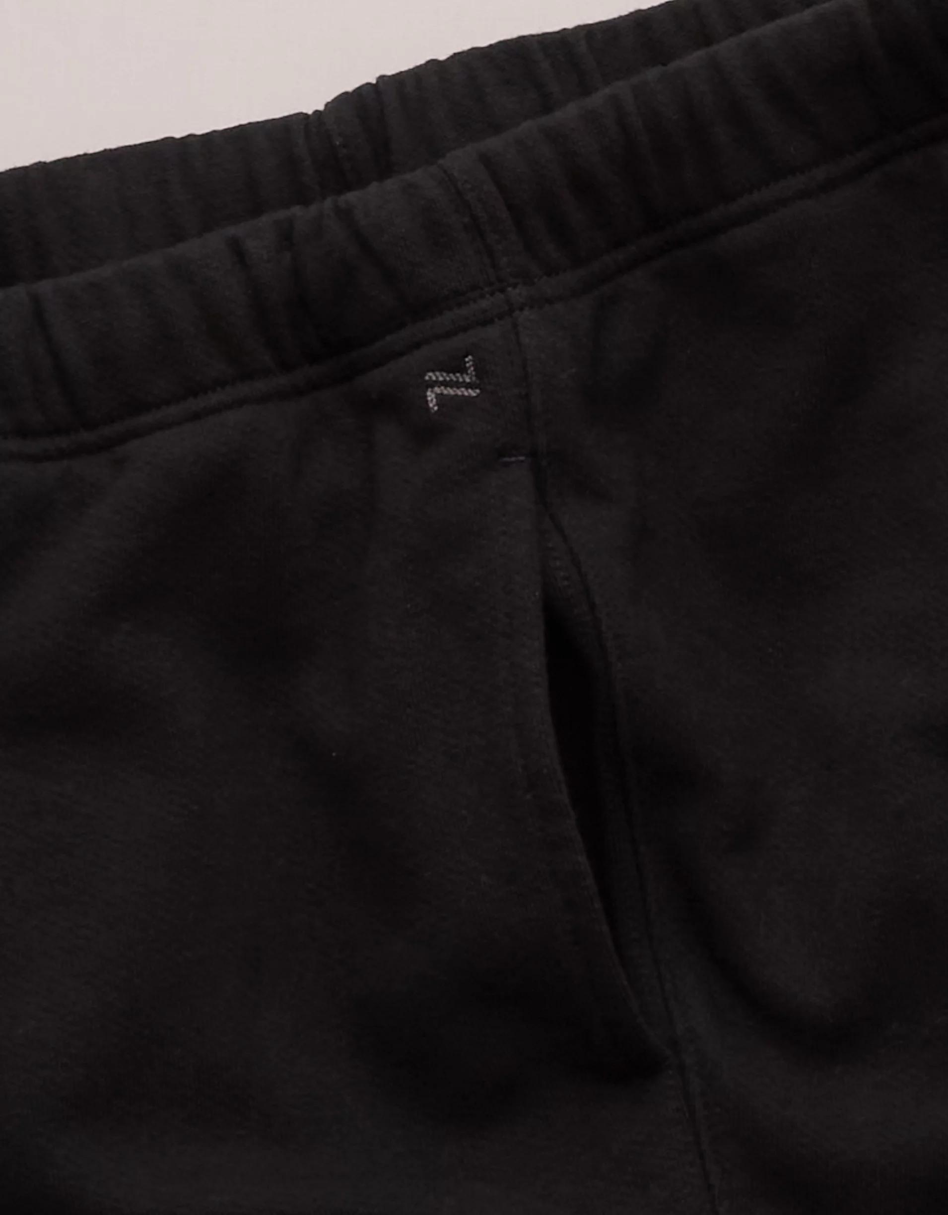 AE77 Premium Fleece Jogger Product Image
