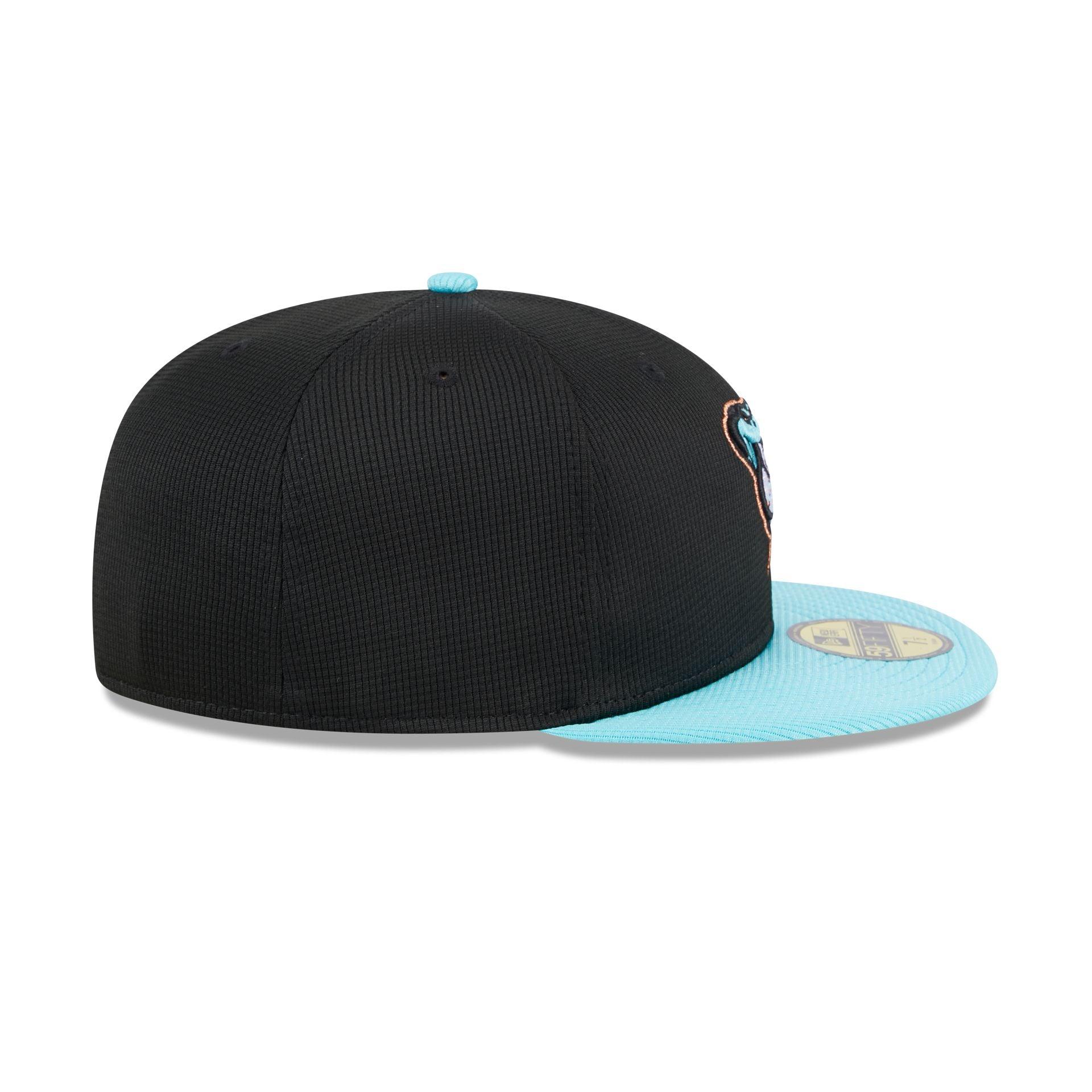 Arizona Diamondbacks 2025 Batting Practice 59FIFTY Fitted Male Product Image