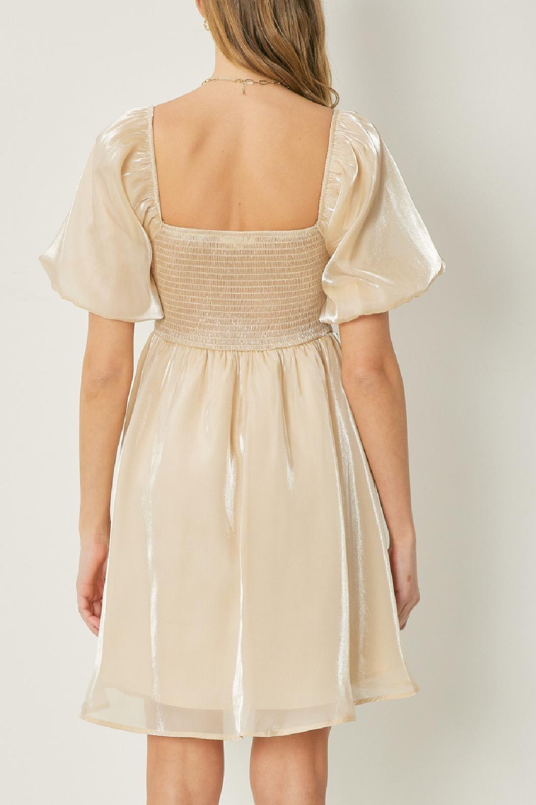 Organza Bubble Sleeve Dress Product Image