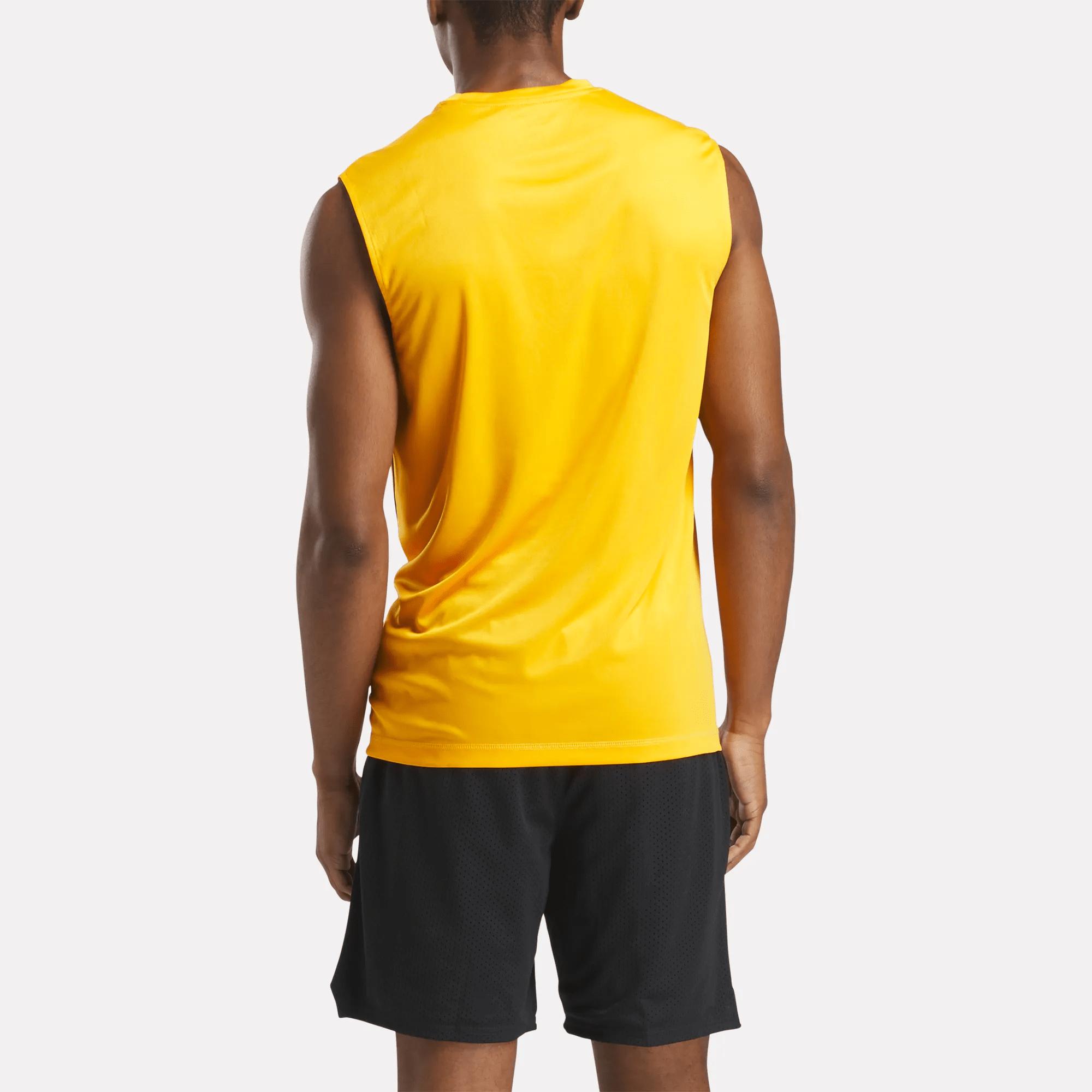Men's Training Sleeveless Tech T-Shirt Male Product Image