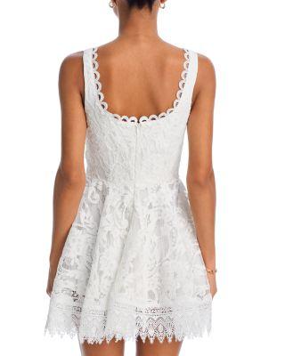 Havana Lace Mini Dress Product Image