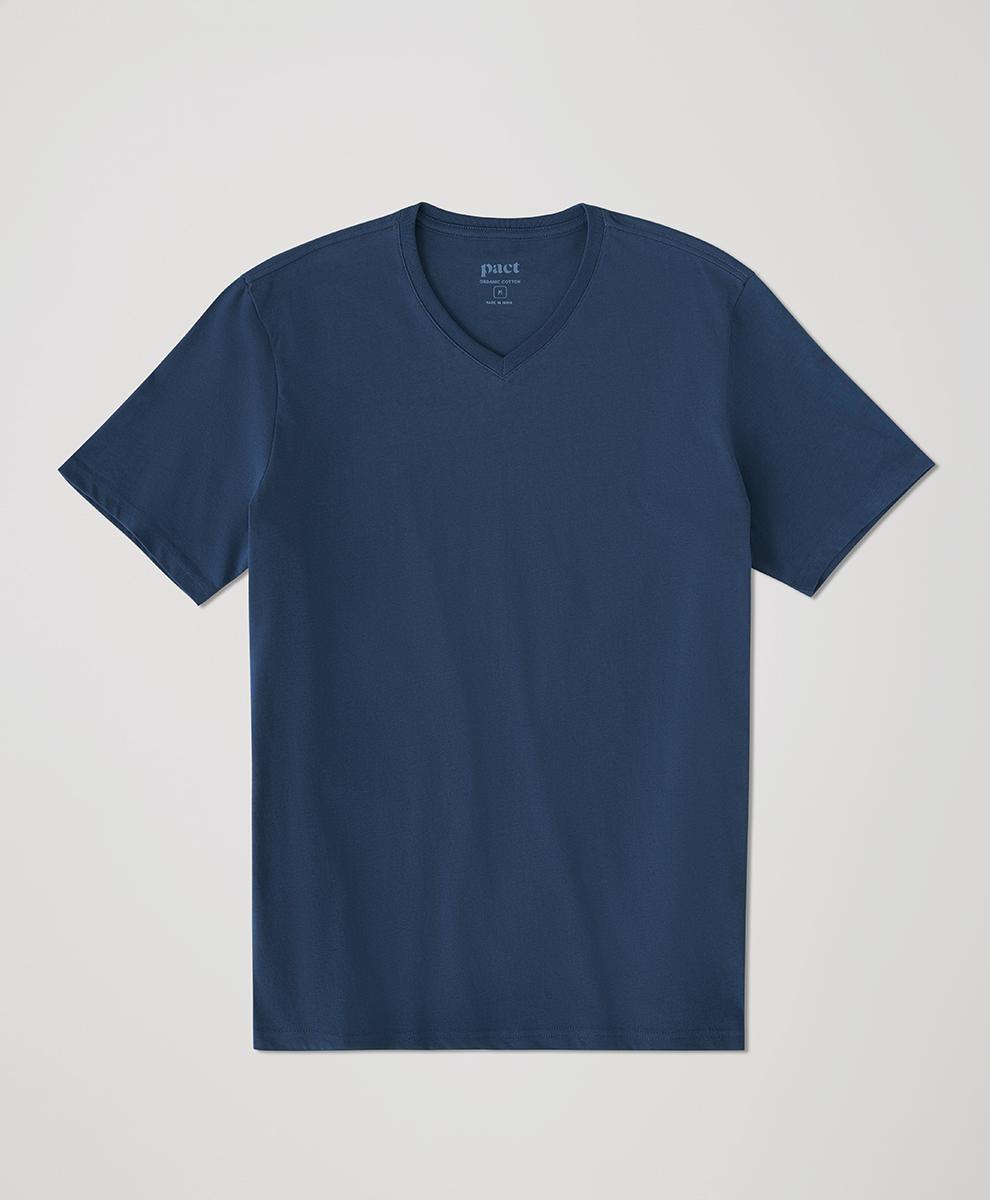 Mens Softspun V-Neck Tee L Product Image