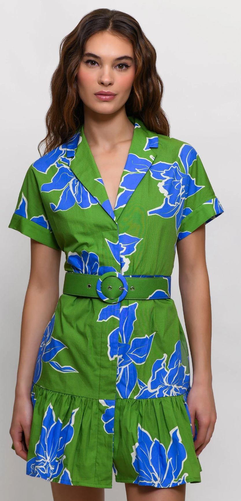 Hutch Camp Collar Button Down Shirt Dress Product Image