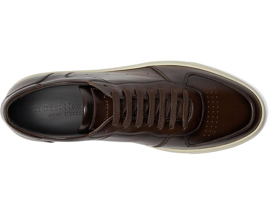 Owen Lace-up Sneaker Product Image