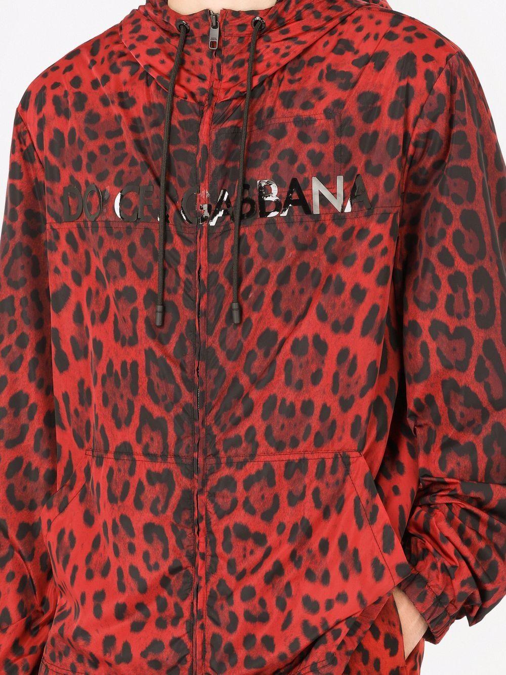 DOLCE & GABBANA Jacket With Animal Print In Multi Product Image