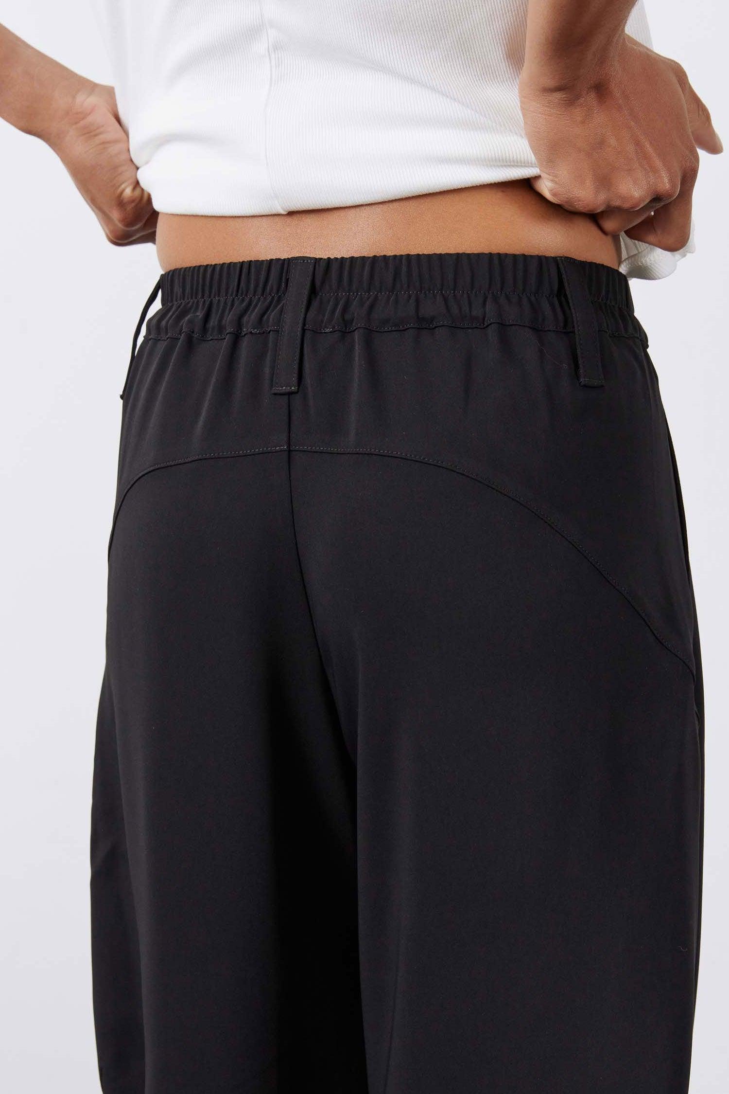 The Formal Wide-ish Pants Product Image