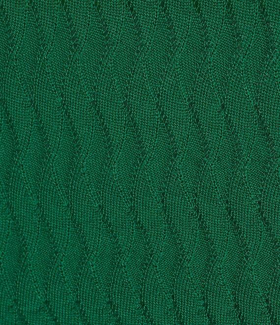 Murano Prehistoric Prep Collection Solid Textured Johnny Sweater Polo Shirt Product Image