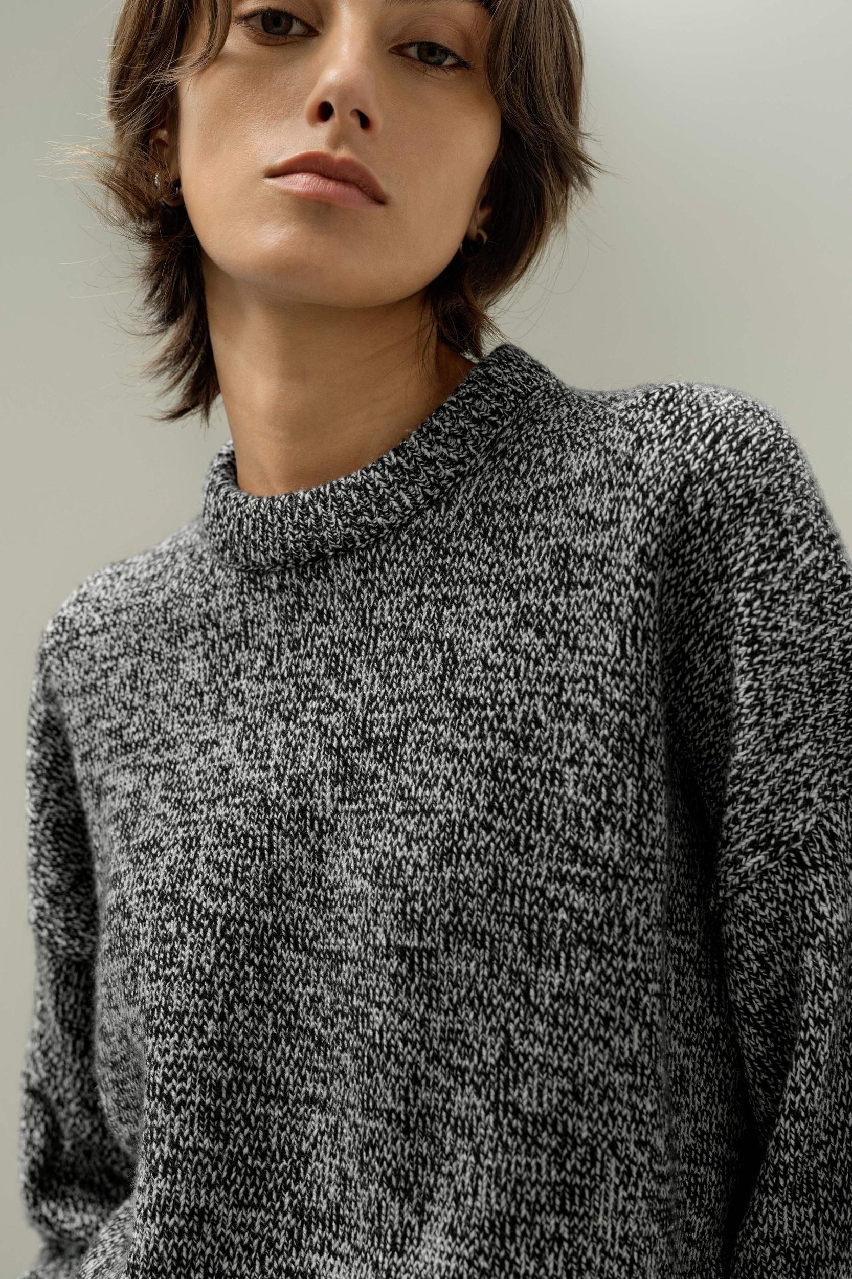 Oversized Crewneck Wool-Cashmere Sweater Product Image