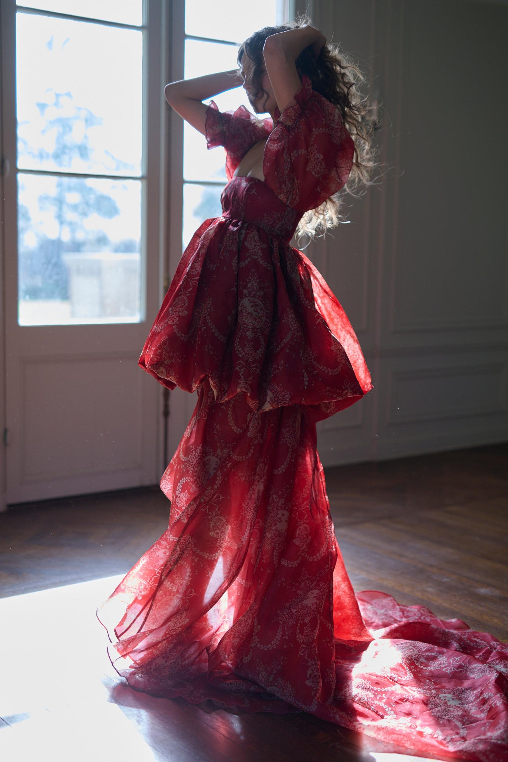 The Ornament Fairytale Gown Product Image