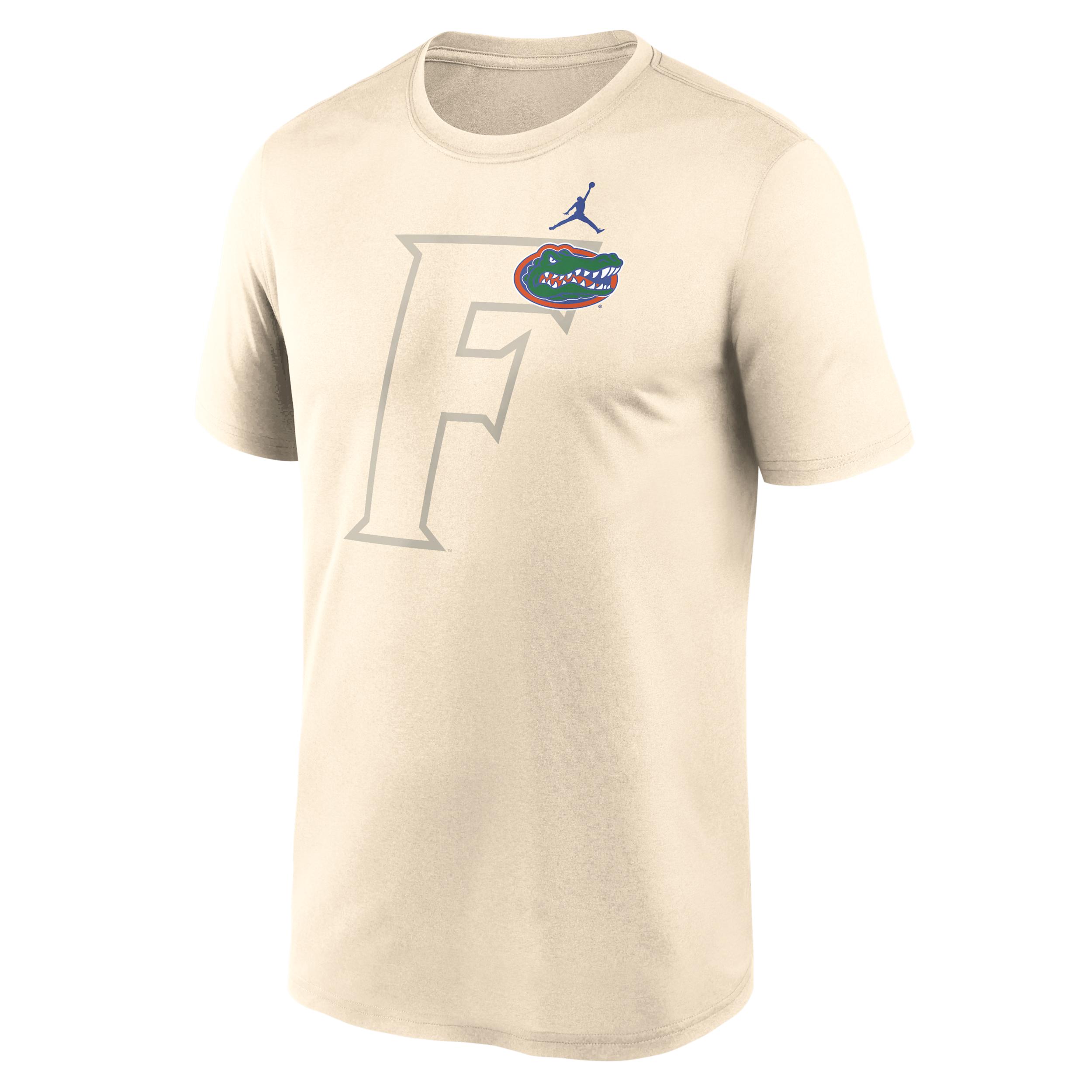 Mens Florida Campus Legend Shadow Logo Jordan Brand College Pullover Hoodie | NKGK15AUFN-ET9 Product Image
