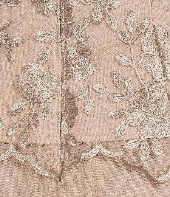 Alex Evenings V Neck Cap Sleeve Embroidered Bodice Stretch Tulle A Line Gown Product Image