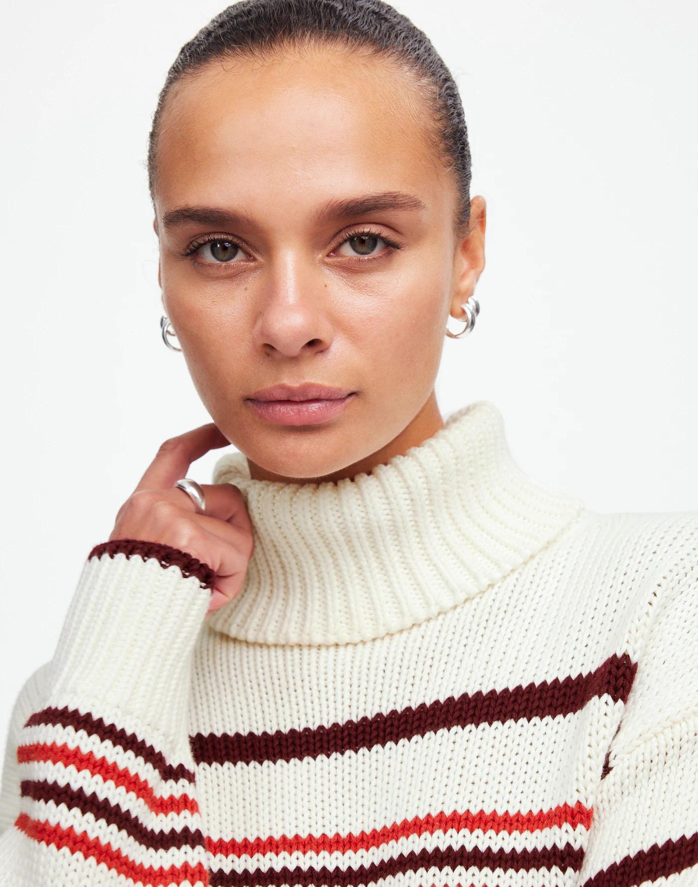 Ribbed Cotton Turtleneck Sweater in Stripe Product Image