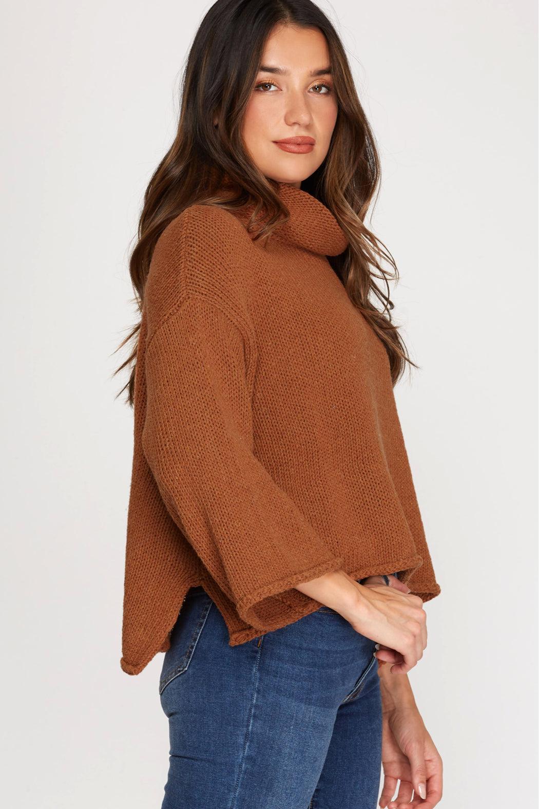Turtleneck Knit Sweater Product Image