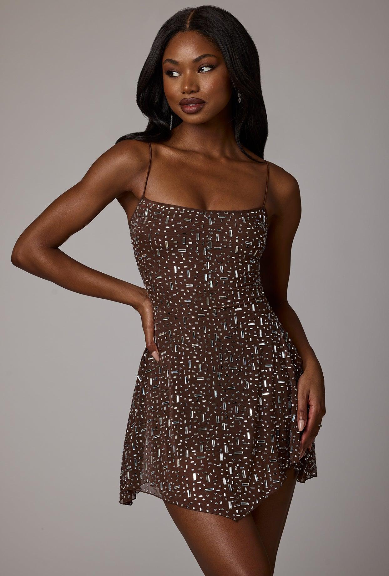 Sheer Embellished Scoop Neck Mini Dress in Deep Cocoa Product Image