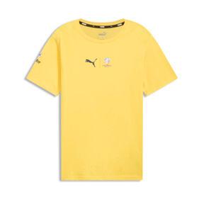 PUMA CONMEBOL Copa AmÃ©rica 2024 Colombia Men's T-Shirt Product Image