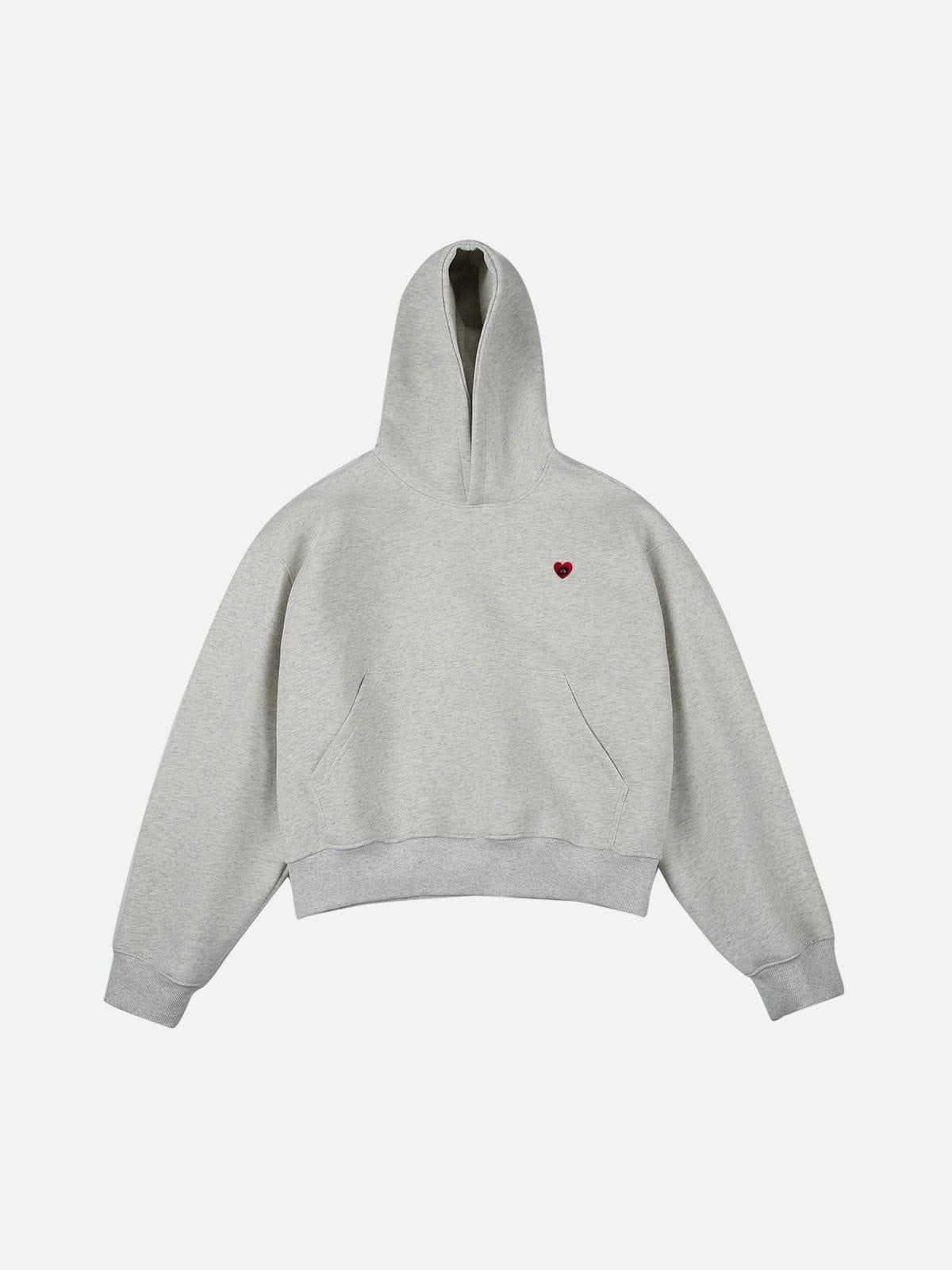 Aelfric Eden Solid Pullover V302 Boxy Hoodie Product Image