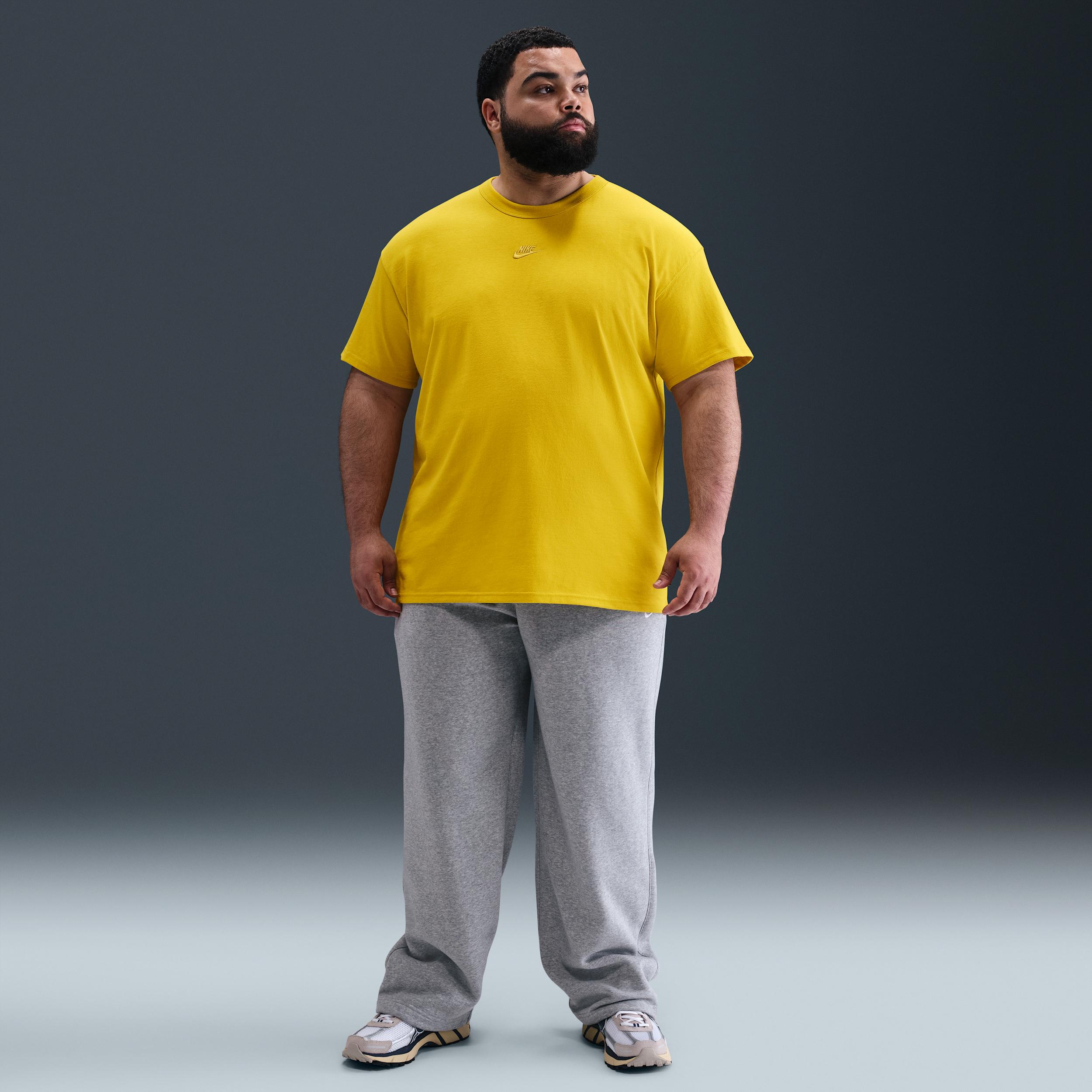 Mens Nike Sportswear Premium Essentials T-Shirt | DO7392-726 Product Image