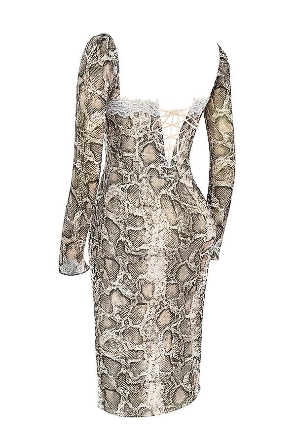 Seraphina  snake print corset dress Product Image
