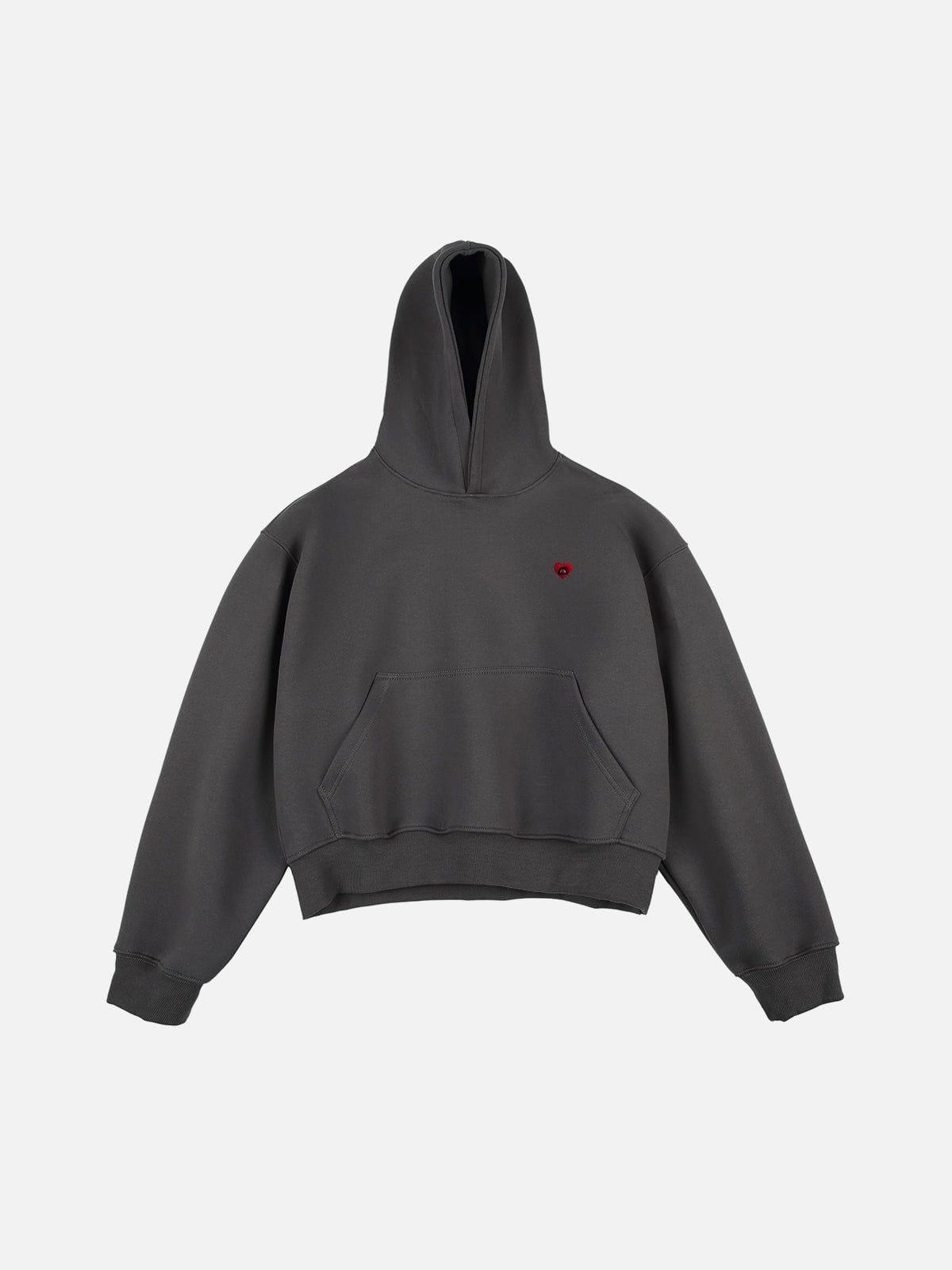 Aelfric Eden Solid Pullover V302 Boxy Hoodie Product Image