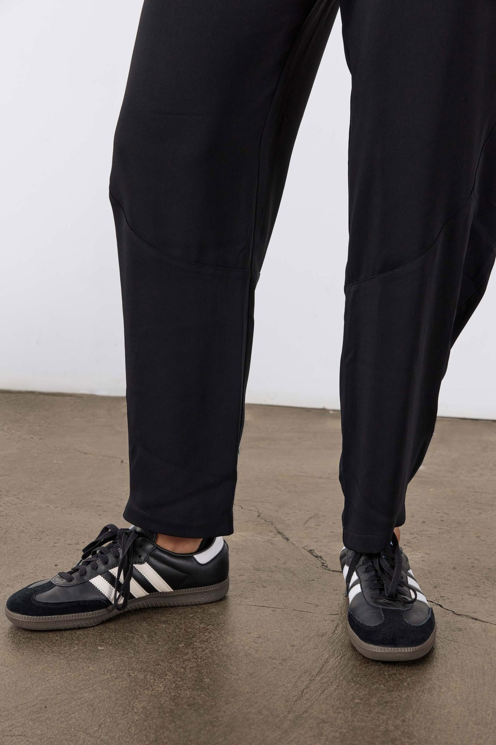 The Formal Wide-ish Pants Product Image