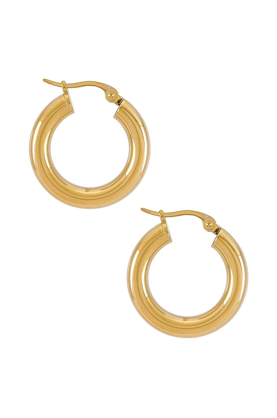 Dominique Hoop Earring SHASHI Product Image