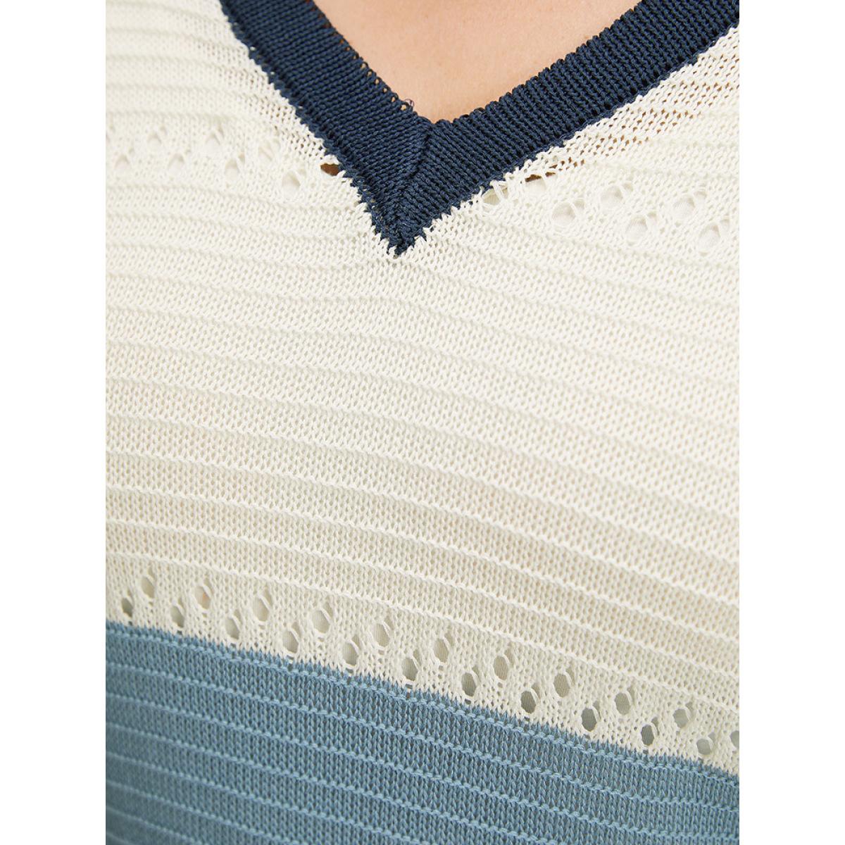 Plus Size Colorblock Hooded Raglan Sleeve Eyelet Pullover Multicolor Women Casual Loose Long Sleeve Dailywear Pullovers BloomChic 14-16/1X Product Image