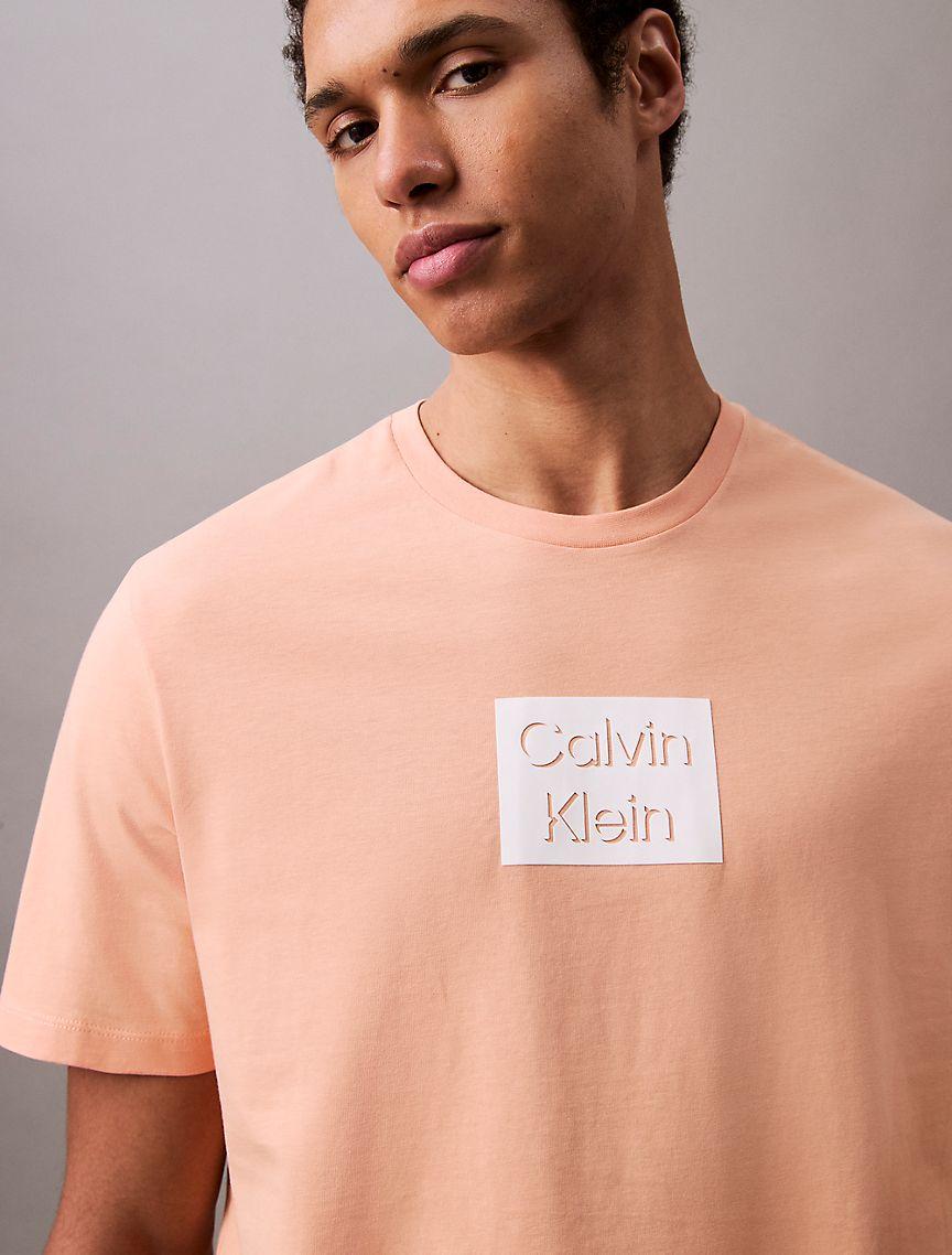 Box Logo Graphic Classic T-Shirt  Product Image