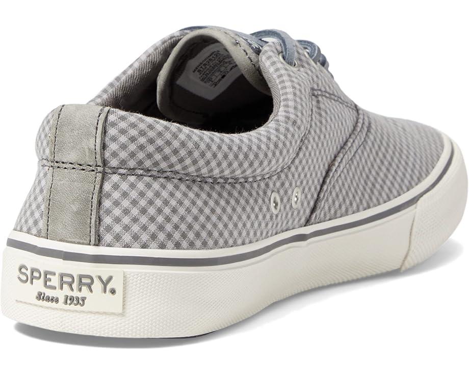 CVO Canvas Product Image