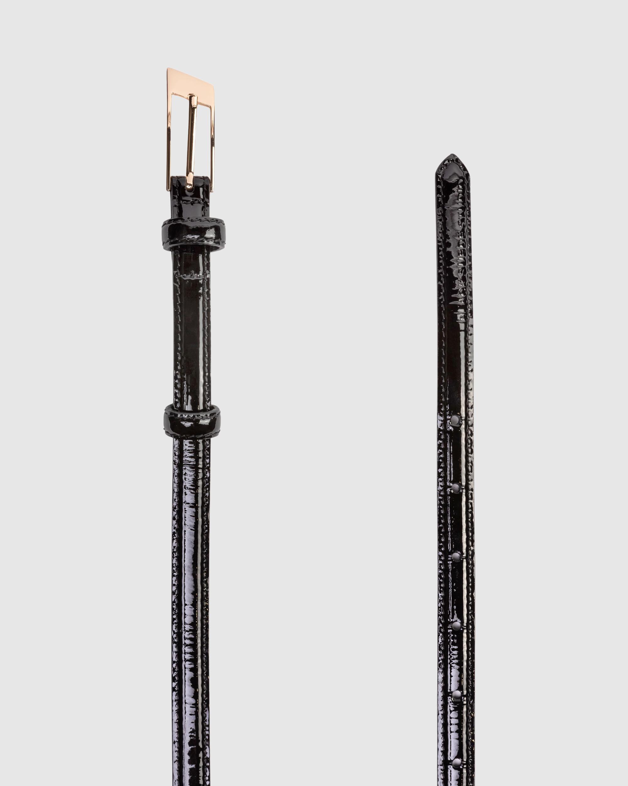 Slanted Belt Product Image